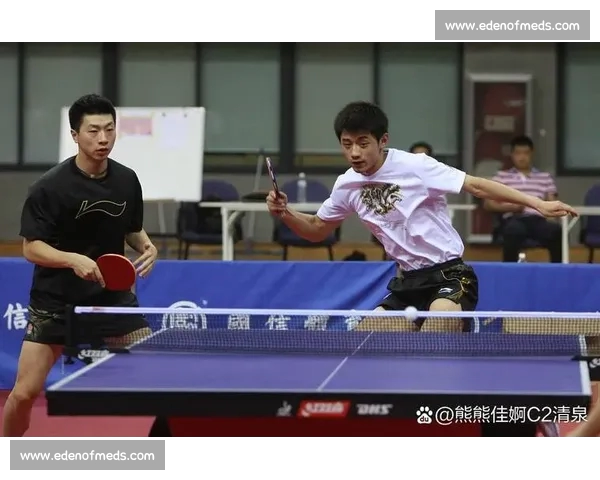 乒乓球的魅力与技术：从基础技巧到高阶战术的全面探索